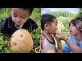 Top 10 best survival videos in the past month H.Mongfamily