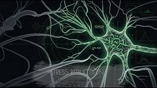 💚 Vibrational CBD | Nervous System Support (Morphic field)