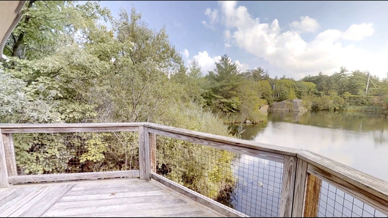 Linden Ponds Virtual Tour — Pond YouTube