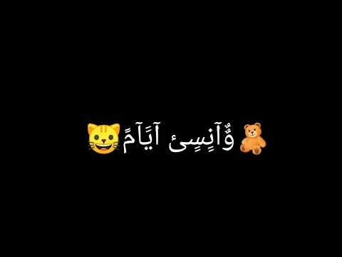 اغاني اليسا سيبني اسرح فيك شويه كرومات شاشة سواد حالات واتس اب حب واغرام واحساس عشق حالات انستا عشق