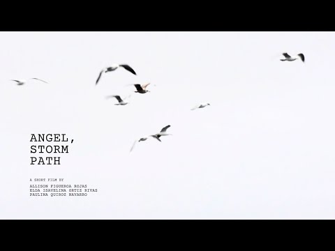 Angel, Storm Path | Short film