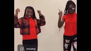 Wo tang