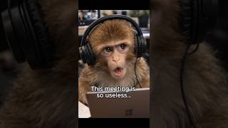 Punch the Monkey Forgets He’s NOT on Mute 😂 | Funniest Zoom Fail  #funnymonkey #corporatelife