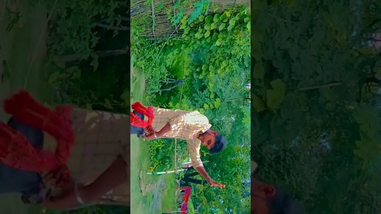 Tohare Porbandar se surpura Ganga se Chhindwara ka karbu tel gam kab ka