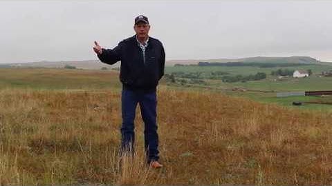 Integrated Crop and Livestock Systems with Doug Landblom