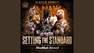 Set The Standard