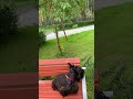 НУ  КАК ТО ТАК ВОТ..  ПОТОМУ ЧТО ...