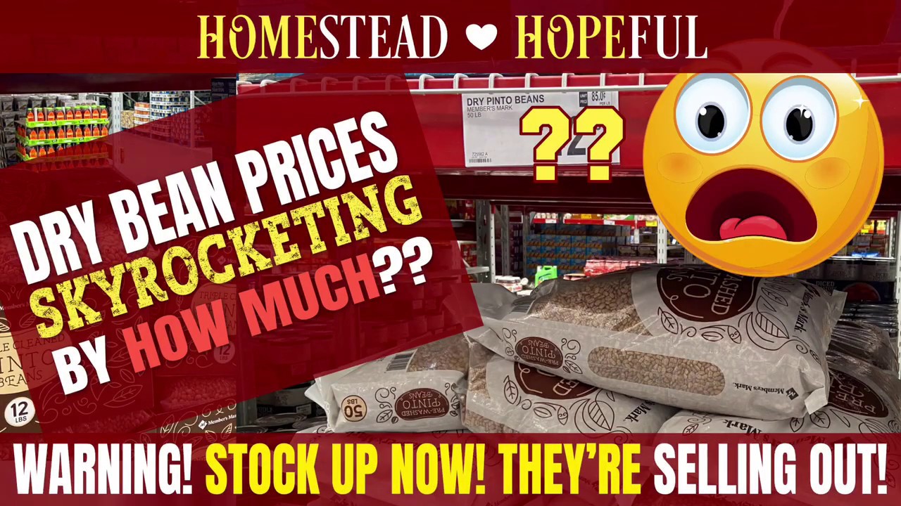 Dry Bean Prices On The Rise in 2020! Up By HOW MUCH?! YouTube