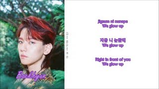 EXO - Diamond (Rom-Han-Eng Lyrics) Color & Picture Coded