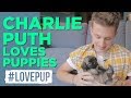 Charlie Puth Plays Keyboard w/ Puppies, Opens up About Being Attacked by a Dog and MORE!