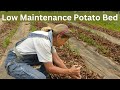 The Wonders of No-Till Potato Planting