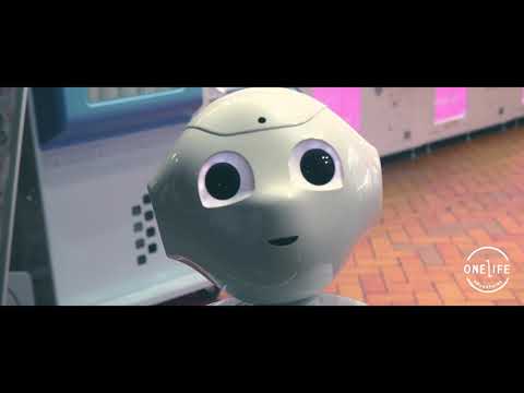 One Life Adventures - Japan