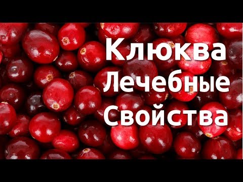 КЛЮКВА. ЛЕЧЕБНЫЕ СВОЙСТВА