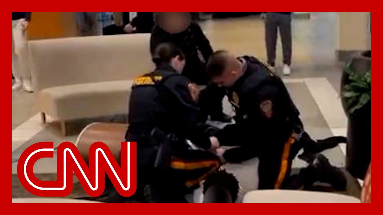 Video showing how police treat Black and White teens in mall fight sparks outrage