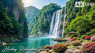 Beautiful Relaxing Music 🌿 Gentle Piano Sounds That Soothe Exhausted Nerves & Emotional Burnout #2 screenshot 4