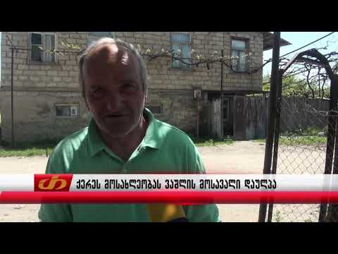 ქერეს მოსახლეობას ვაშლის მოსავალი დაულპა