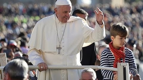 Đức Thánh Cha tiếp kiến chung, 12.10.2016: Thương người có 14 mối