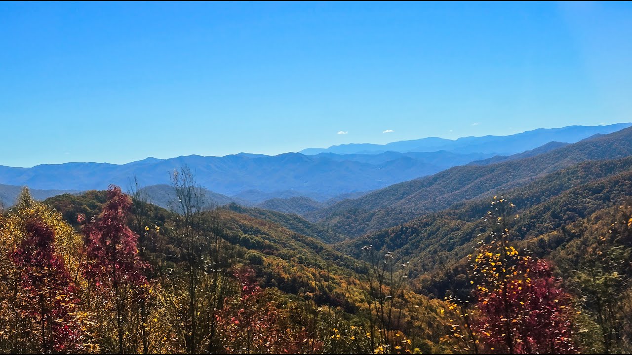 Stunning Fall Drive on Newfound Gap Road - Great Smoky Mountains National Park (Full Autumn Colors)