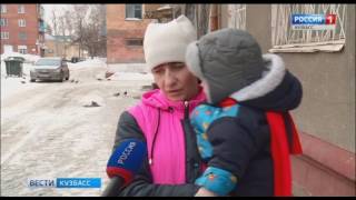 В Кемерове обсуждают проблему бродячих собак В Кемерове обсуждают проблему бродячих собак