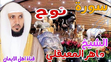 سورة نوح كاملة بصوت اكثر من رائع الشيخ ماهر المعيقلي surat nuh kamilat 'alshaykh mahir almueyqalii