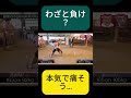 この負け方…狙ってる?【相撲】#水曜日のダウンタウン