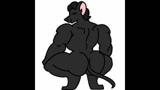 I believe in ratte supremacy