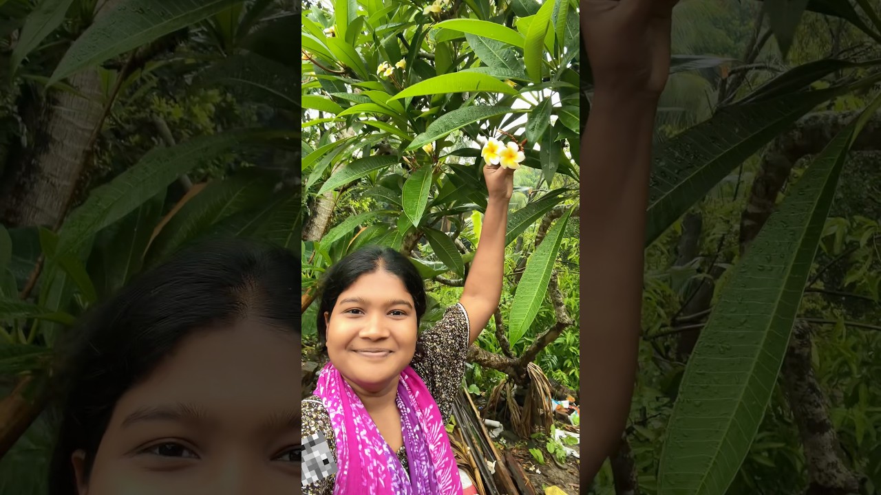অবশেষে বাবা কথা রাখল 😃🌸|| #bangla_vlog #kathgolap #flowers #gardening #villagelife #baba #craft