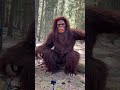 Bigfoot Halloween 2025 4
