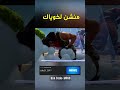 فورت نايت صار لها 6 سنوات 💔 | كم صرلك تلعبها؟ | عيد ميلاد فورتنايت!