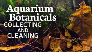 Aquarium Botanicals: Collecting and Cleaning them!