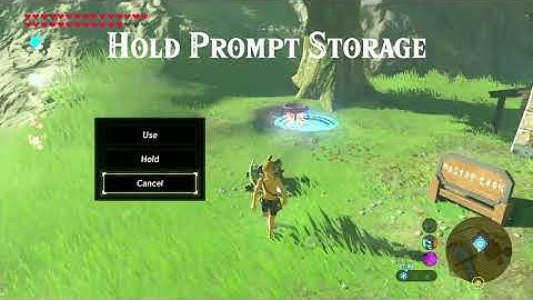 Hold Prompt Storage Tutorial (BOTW)