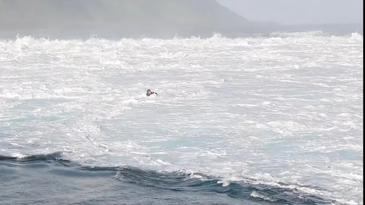 WILD TEAHUPOO EVENING PADDLE SESSION, SWELL PULSES...