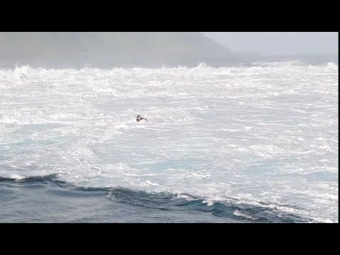 WILD TEAHUPOO EVENING PADDLE SESSION, SWELL PULSES BEFORE DARK!