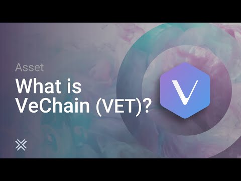 What is VeChain? (VET Crypto)