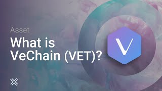 vet cryptocurrency mcdonald akcijų opcijos darbuotojams