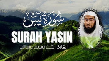 سورة يس كاملة بصوت الشيخ محمد عبيدالله تلاوة خاشعة #qurantilawah