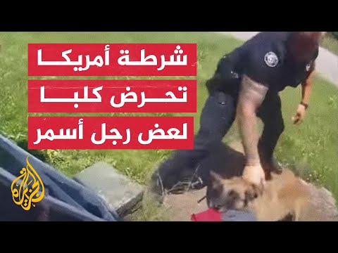 شاهد| الشرطة الأمريكية تعتدي على رجل أسود البشرة بكلب بوليسي شرس