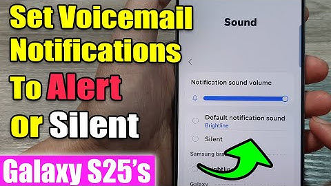 How to 🔔 Set Voicemail Notifications to Alert or Silent on Galaxy S25!