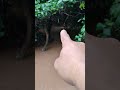 Os rios encheu na sua região?