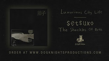 Setsuko - Luxurious City Life