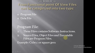 File Types From Functional Point Of View