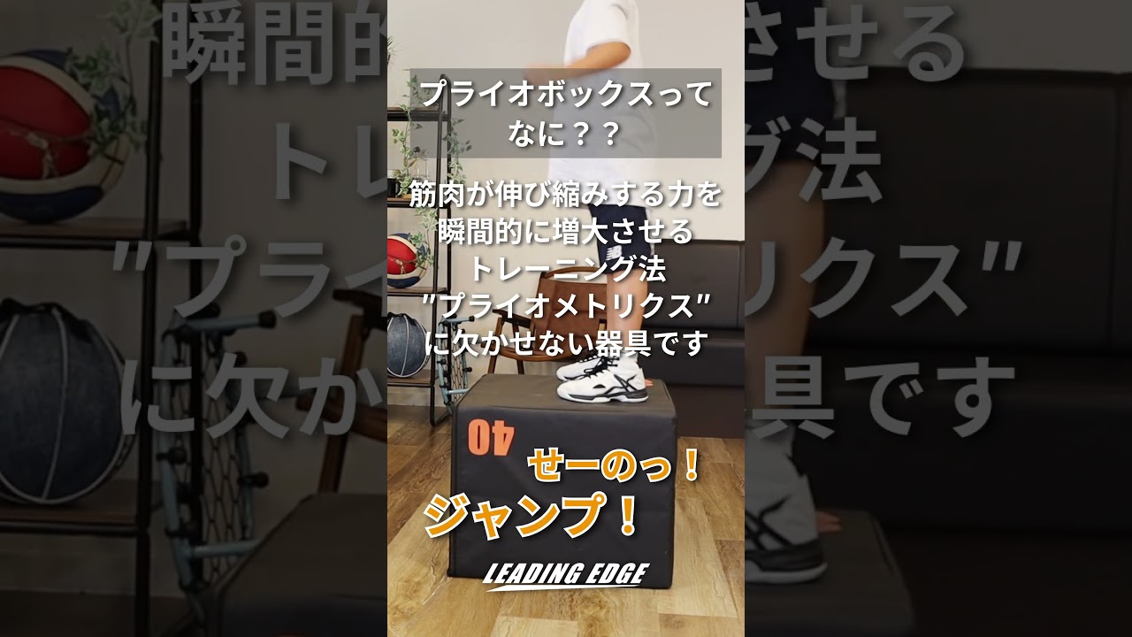 プライオボックス トレーニング ブラック LES-PLB BLACK | YOCABITO 