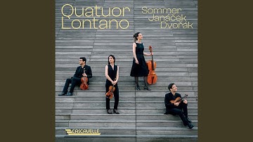 String Quartet No. 1 in D Minor: III. Vivace