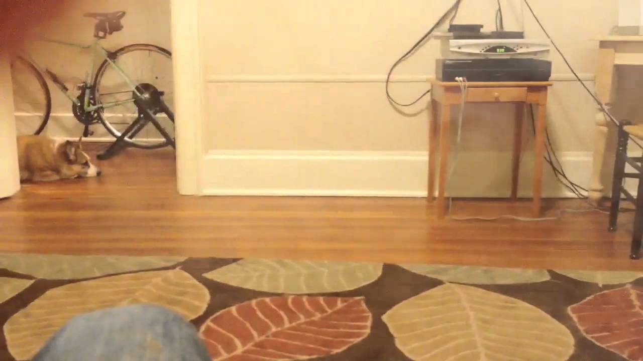 Car crash in living room YouTube