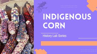 What is Indigenous Corn?