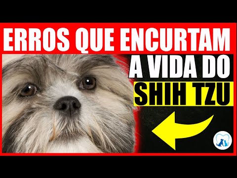 Vídeo: Problemas de saúde que você pode não perceber seu animal de estimação tem: parte 2