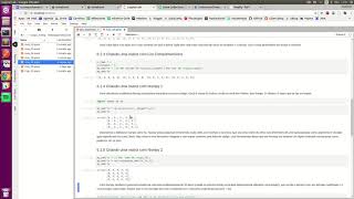 MAC2166 em Python: Aula 6 - Manipulação de Listas Multidimensionais (Matrizes)