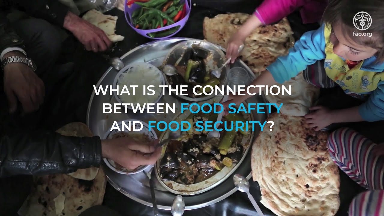 Food safety is part of food security YouTube