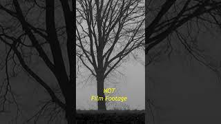 Film Review Leave The World Behind