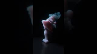 Pop Smoke Hello - 3D Dance Smoke Animation